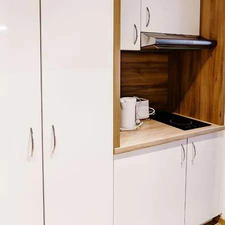 Haus Am Luxury Hs 224 B Διαμέρισμα Γκόσλαρ